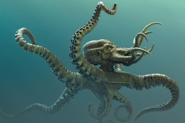 Kraken com зеркало