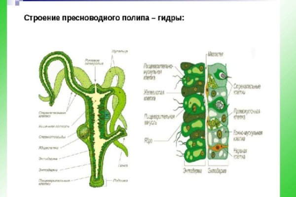 Что с кракеном сайт на сегодня