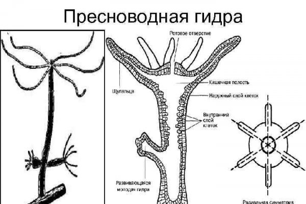 Кракен официальная ссылка kraken torion