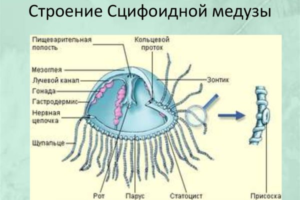 Зеркало на кракен