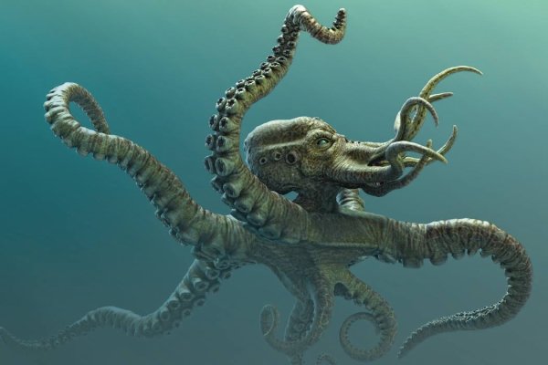 Kraken зеркала маркетплейс