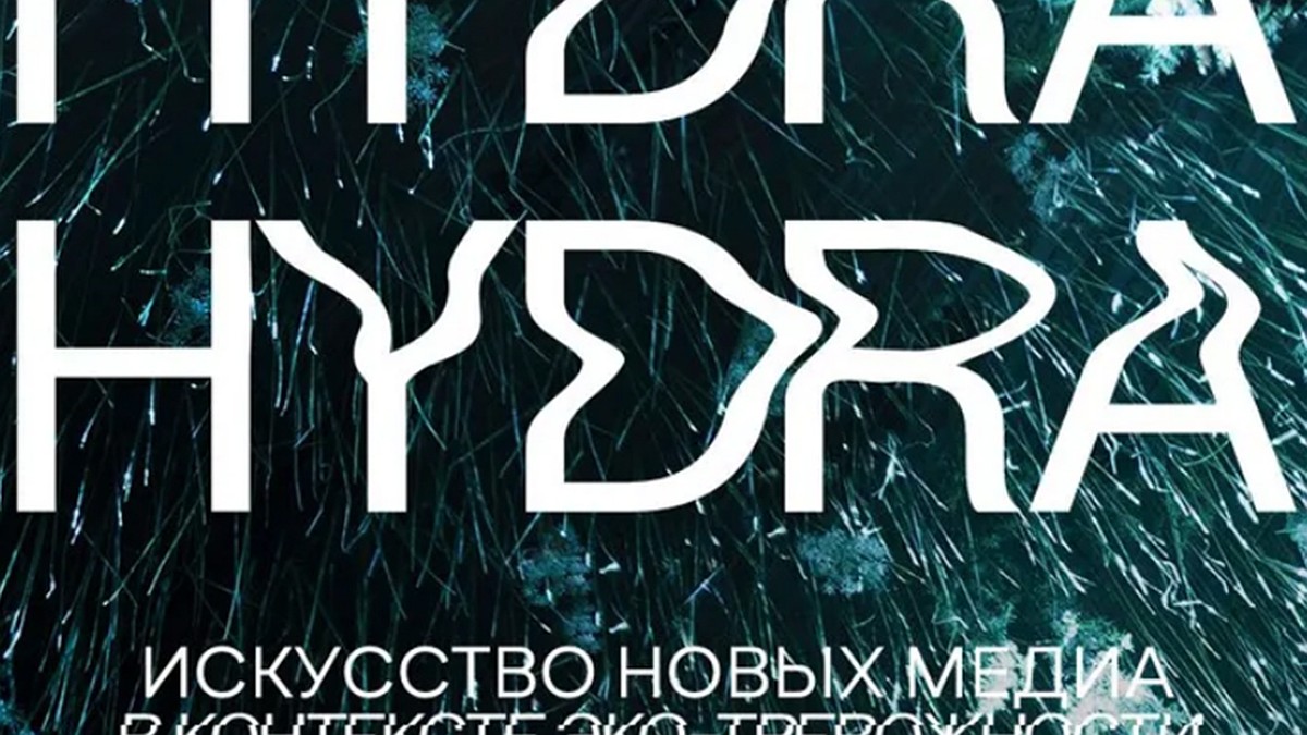 При входе на кракен пишет вы забанены