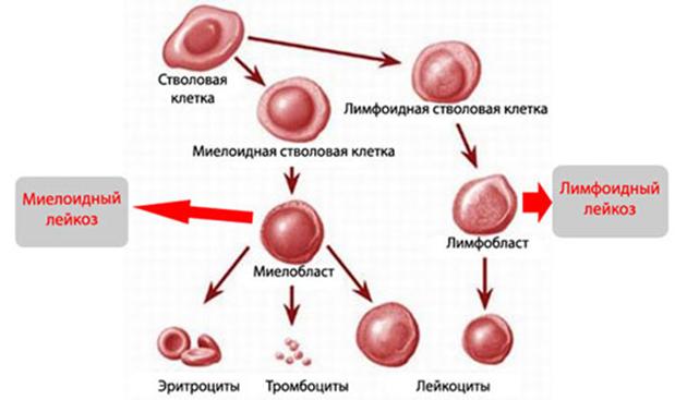 Кракен сайт в тор браузере